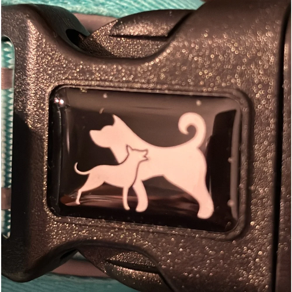 PoyPet No Pull Dog Harness, No Choke Reflective Dogs(Mint Blue Matching Trim, M)